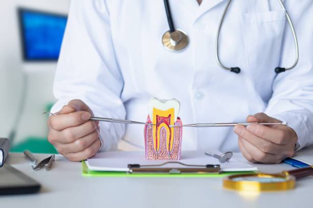 Best Walk-In Emergency Dentist in Sikeston, MO